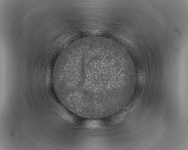 X0000112940181200909211141