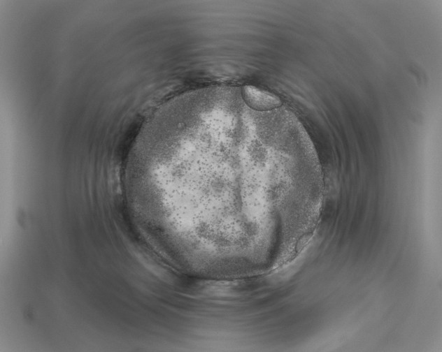 X0000112940182200909211141
