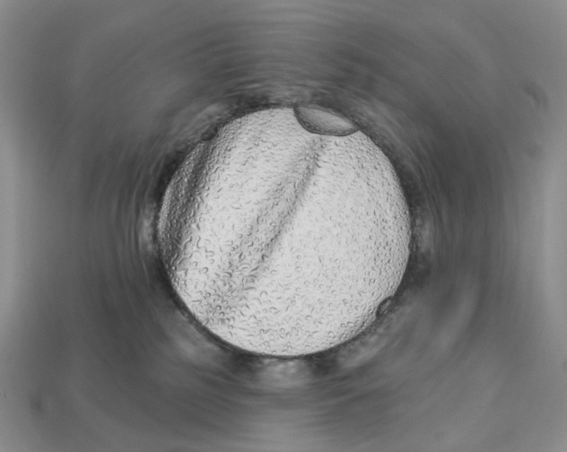 X0000112940185200909211141