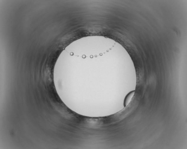 X0000112940187200909211141