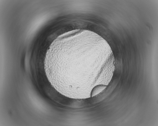 X0000112940189200909211141