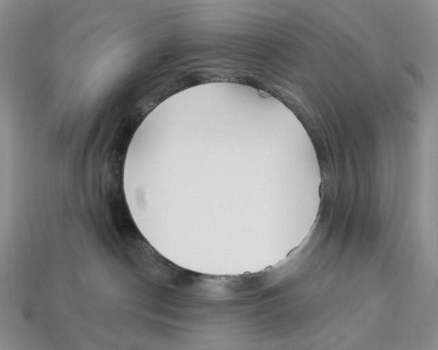 X0000112940190200909211141