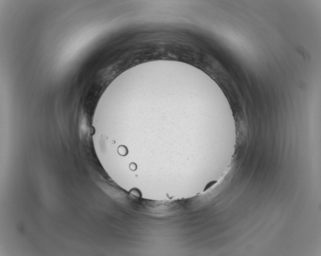 X0000112940191200909211141