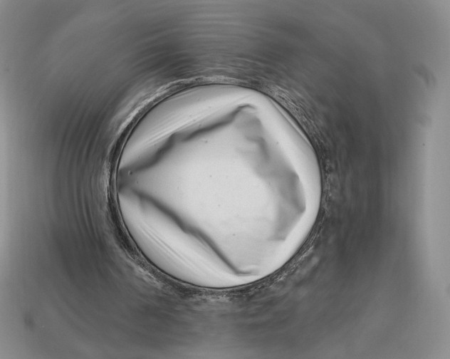 X0000112940194200909211141