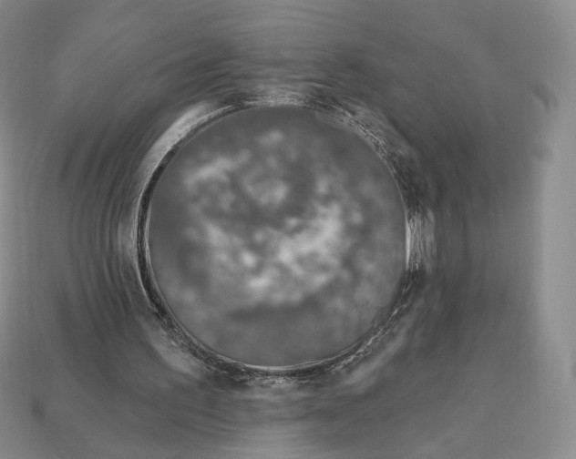 X0000112940195200909211141