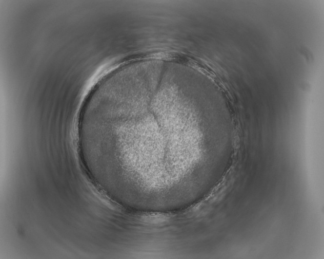 X0000112940198200909211141