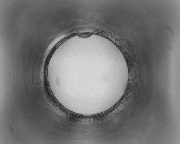 X0000112940200200909211140