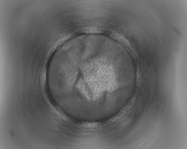 X0000112940202200909211140