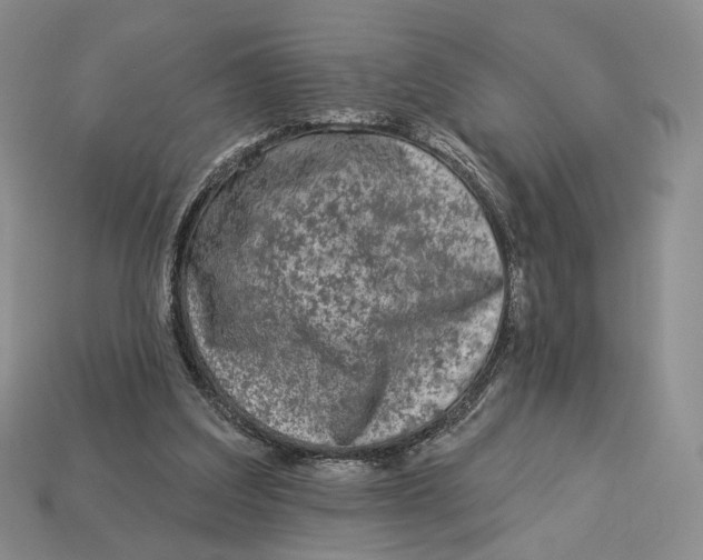 X0000112940203200909211140