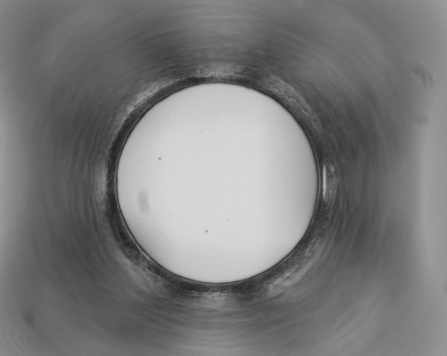 X0000112940204200909211140