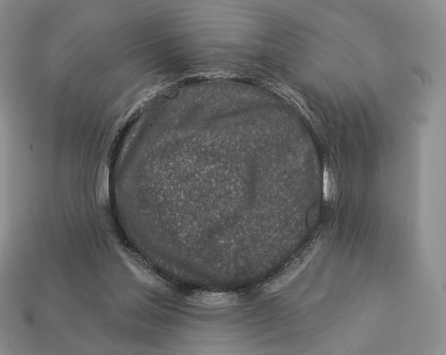 X0000112940205200909211140