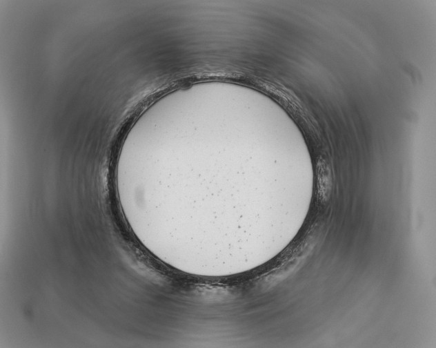X0000112940207200909211140