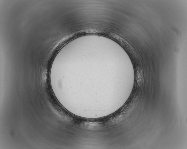 X0000112940208200909211140