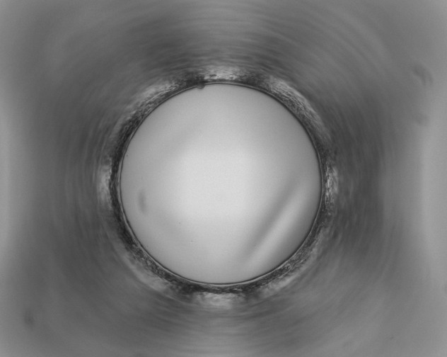 X0000112940209200909211140