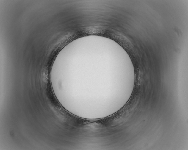 X0000112940210200909211140