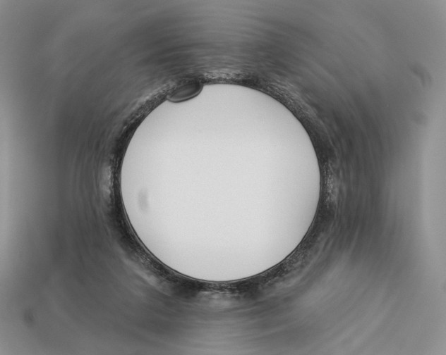 X0000112940211200909211140