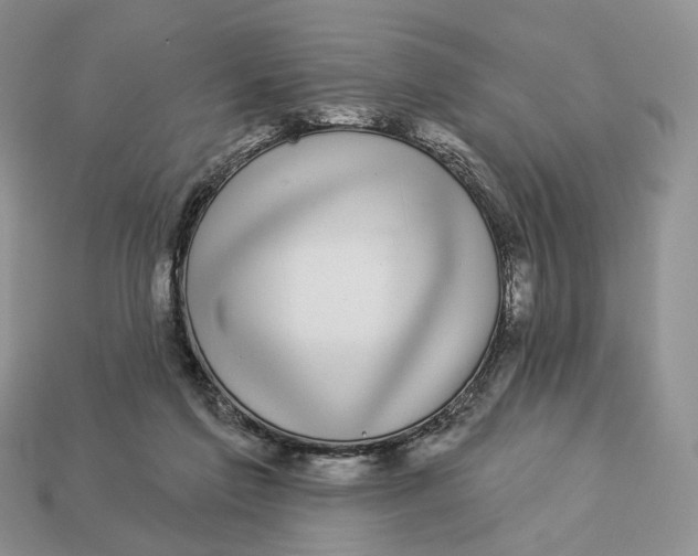 X0000112940213200909211140