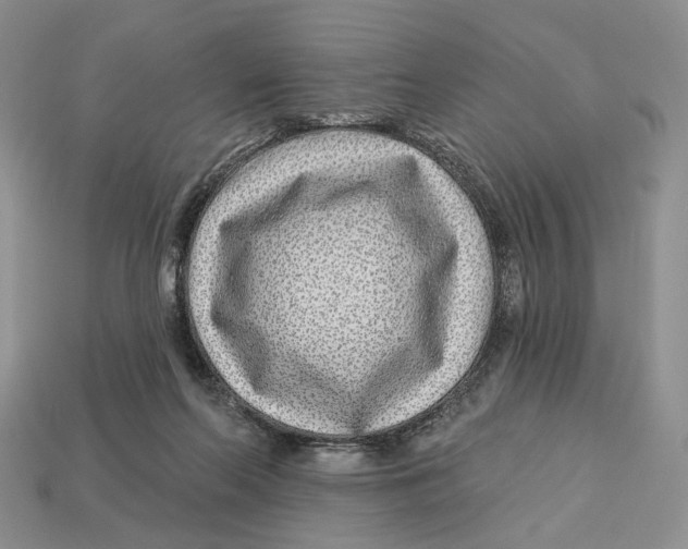 X0000112940214200909211140