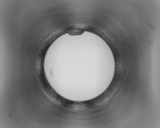 X0000112940215200909211140