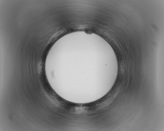 X0000112940216200909211140