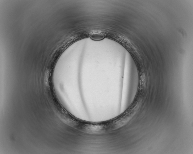 X0000112940217200909211140