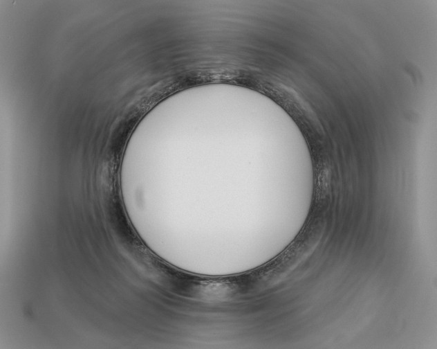 X0000112940218200909211140
