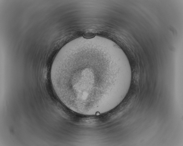 X0000112940219200909211140