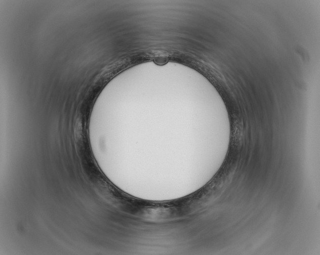 X0000112940220200909211140