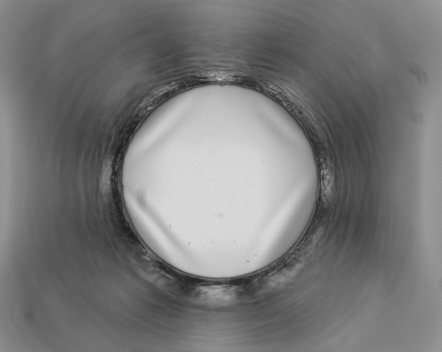 X0000112940221200909211140