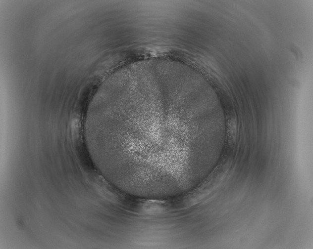 X0000112940222200909211140