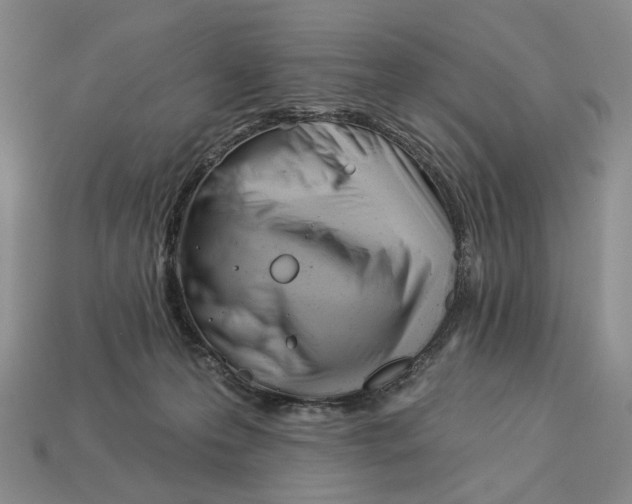 X0000112940223200909211140