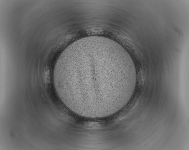 X0000112940224200909211140
