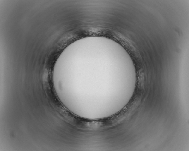 X0000112940225200909211140