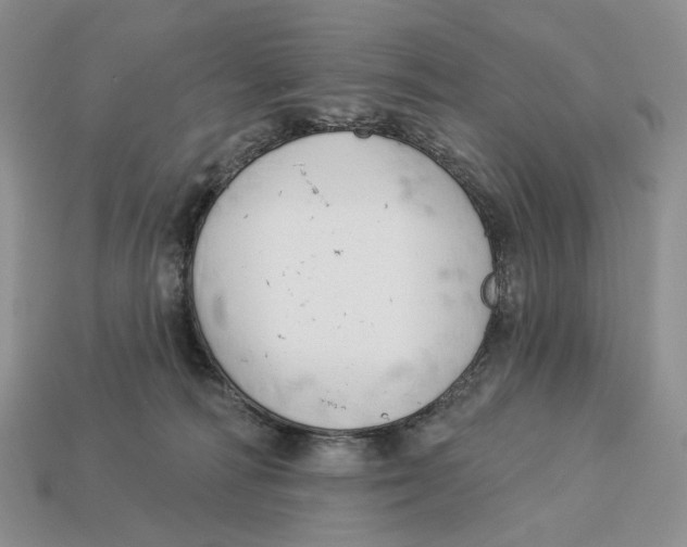 X0000112940226200909211140