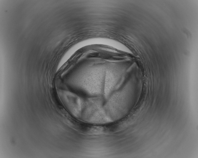 X0000112940227200909211140