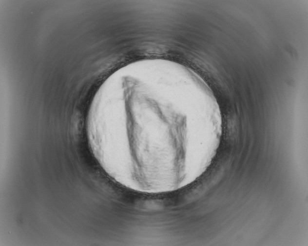 X0000112940228200909211140