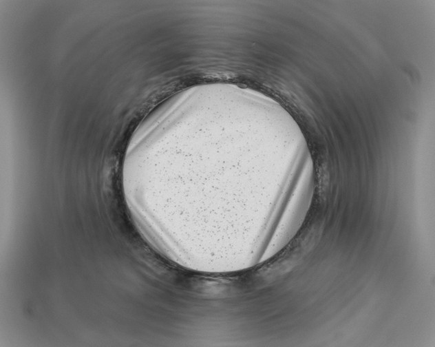 X0000112940229200909211140
