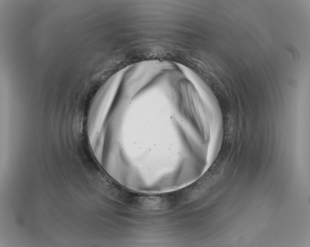 X0000112940230200909211140