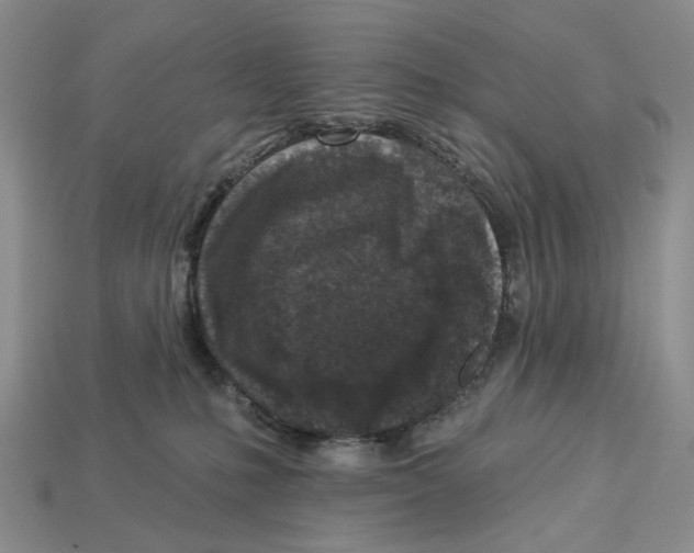 X0000112940231200909211140