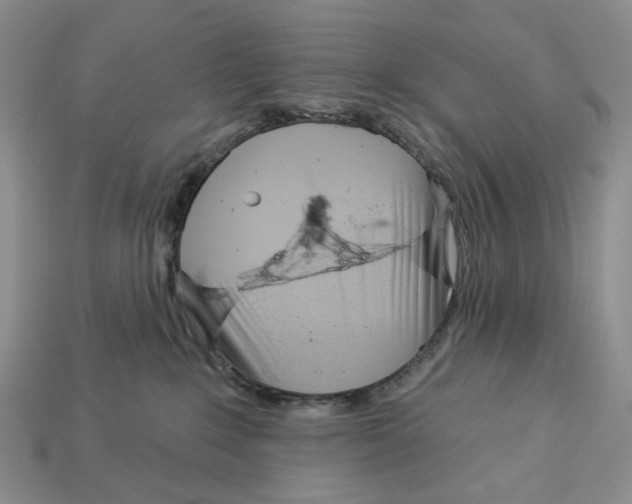 X0000112940235200909211140