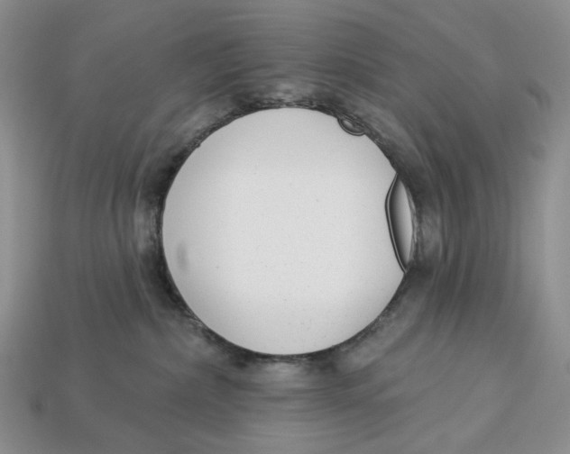 X0000112940236200909211140
