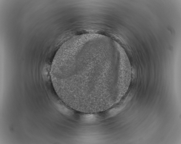 X0000112940237200909211140