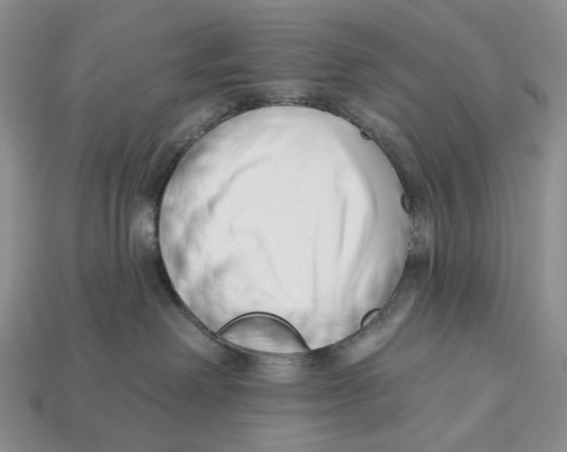 X0000112940238200909211140