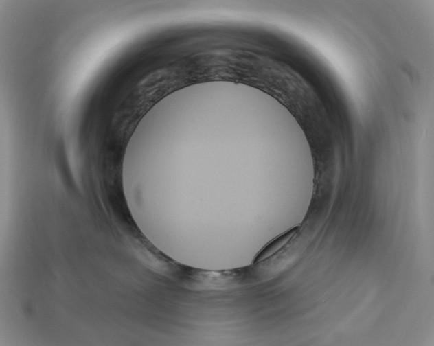 X0000112940239200909211140
