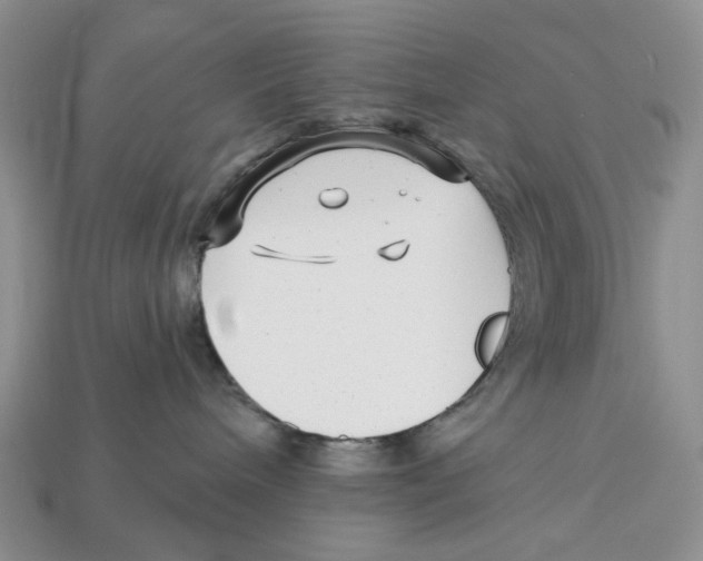 X0000112940240200909211140