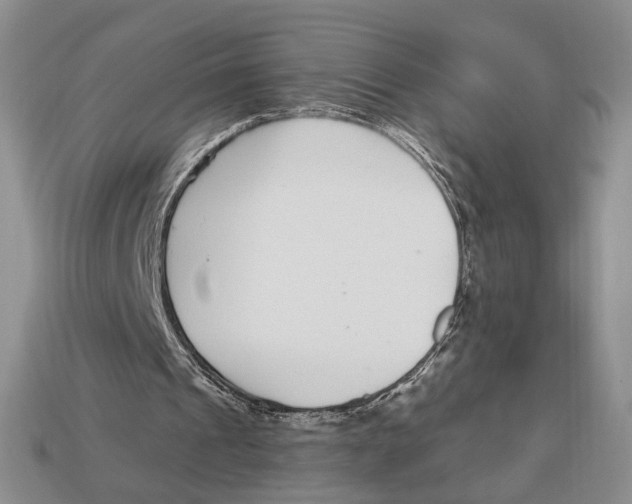 X0000112940241200909211139