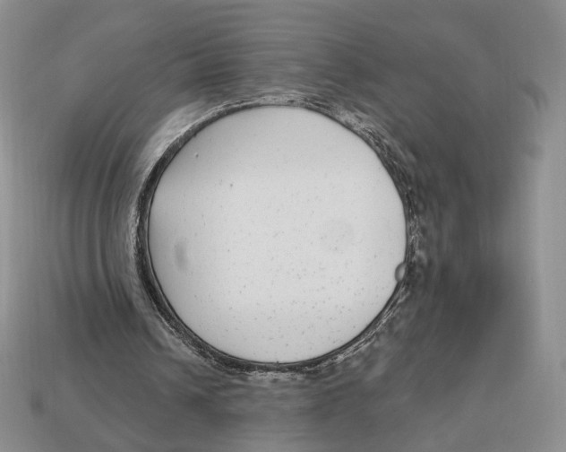 X0000112940242200909211139