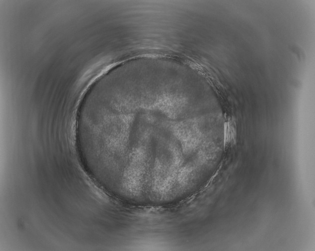X0000112940243200909211139