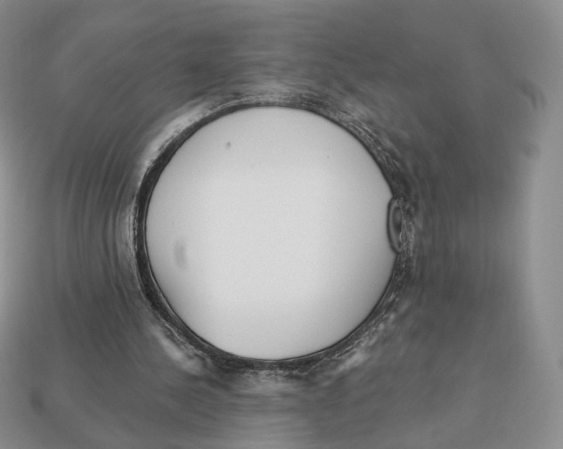 X0000112940244200909211139