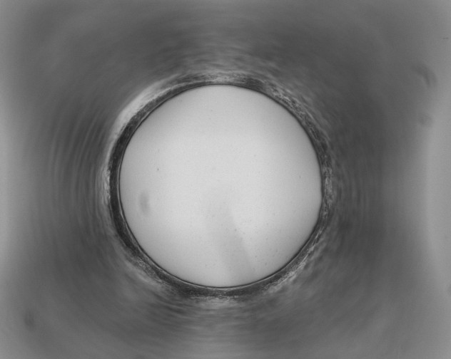 X0000112940246200909211139